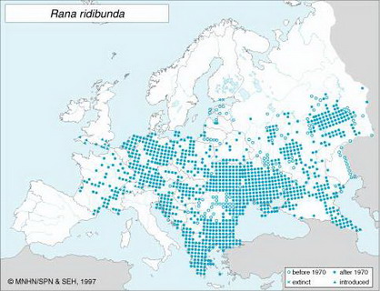 распространение