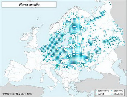 распространение