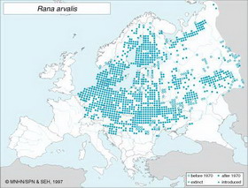 распространение