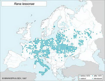 распространение