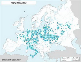 распространение