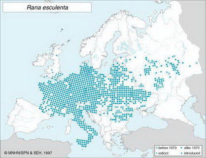 распространение