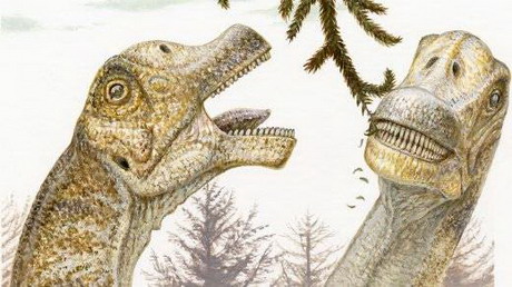 обнаружен свежий вид травоядных динозавров