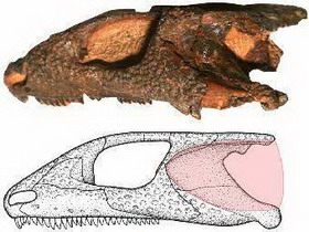 в россии найдены останки древнейшей ушастой рептилии